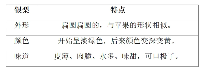 如何选择适合篮球康复训练的器材_1